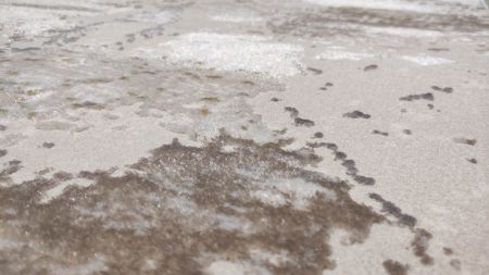 Дорожка Порто 20203 21048