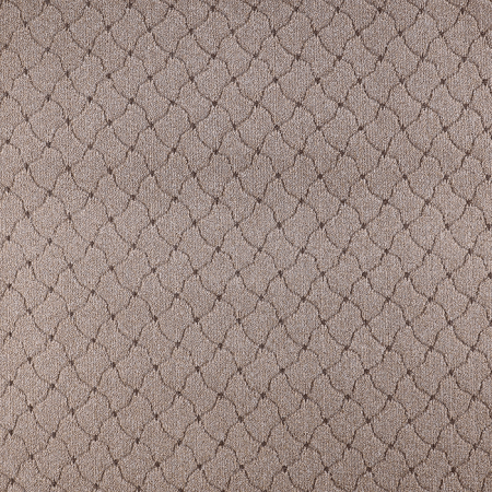 ковер scroll 01_009_5150000. Купите недорогой палас в СПб с доставкой за 24 часа. Ковер Сегура Тафт (01_009_5150000) сохранит тепло. Не царапает паркет. Легко убирается. ковер scroll 01_009_5150000