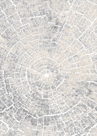 Ковер "Визион" (22114_25364) Прямой 0,8х1,5